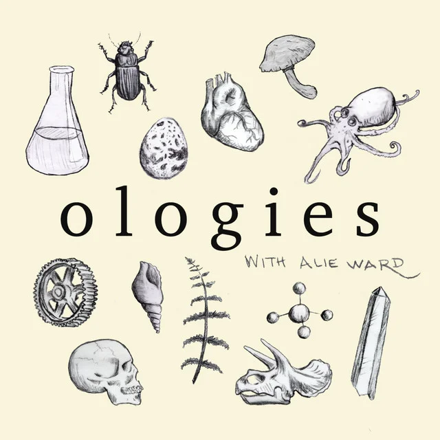 Los mejores podcasts de Spotify: Escucha y explora joyas ocultas 2025 12 The Ologies